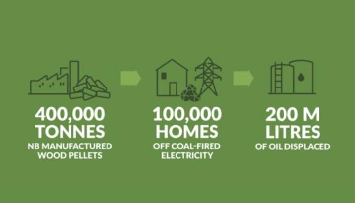 全球48%的木屑顆粒消費(fèi)來自住宅和商業(yè)建筑。從2020年到2021年，歐洲家庭生物質(zhì)消費(fèi)量增長(zhǎng)了18%，商業(yè)應(yīng)用增長(zhǎng)了12.5%。